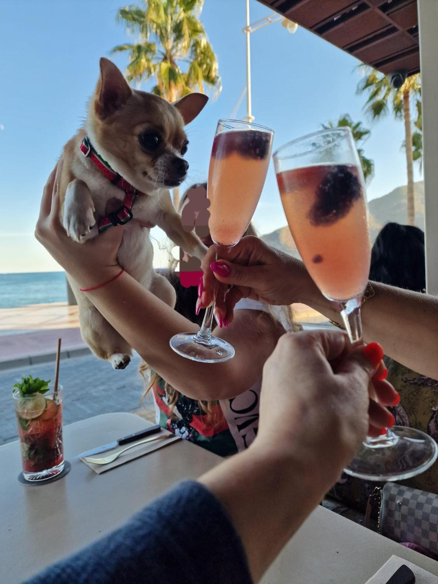 Albir Casa Rural Del Mar アルビール エクステリア 写真